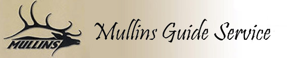 mullinsguideservice