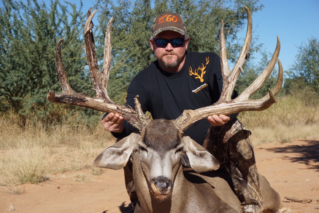 Another Great Sonoran Mule Deer